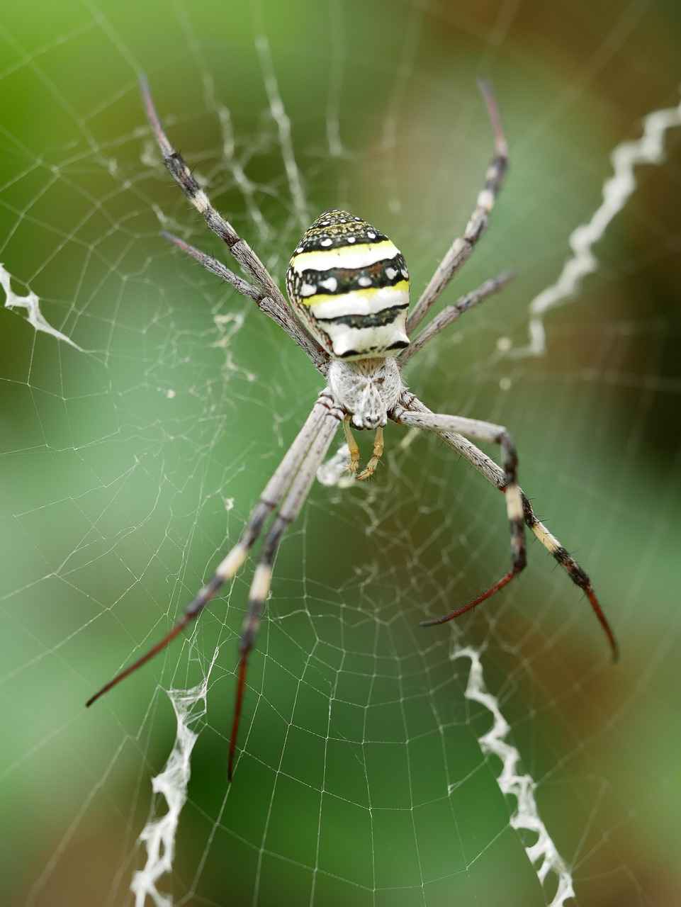 Andrew Garfield and Emma Stone: A Deep Dive Into Their On-Screen Magic