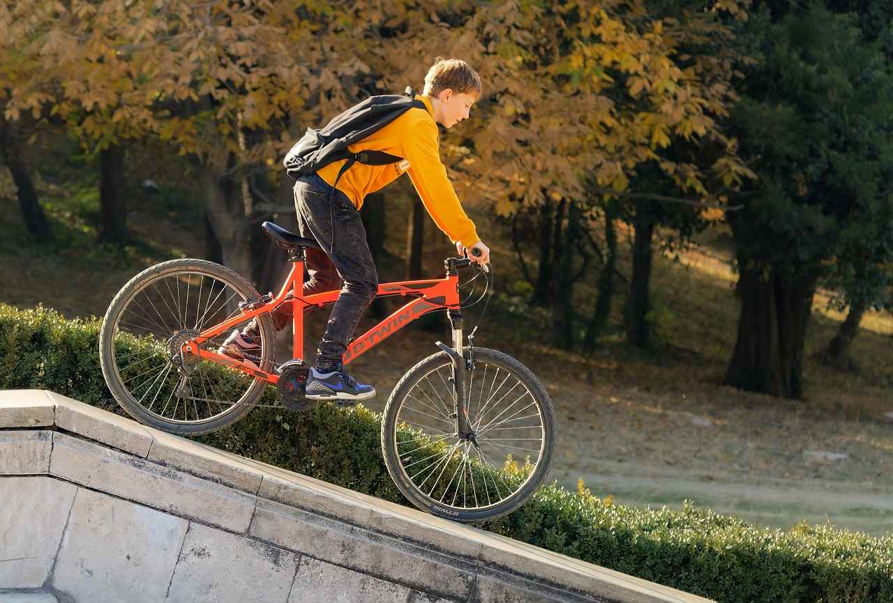 Emma Stone and Jennifer Lawrence: Their Friendship and Shared Moments in Hollywood