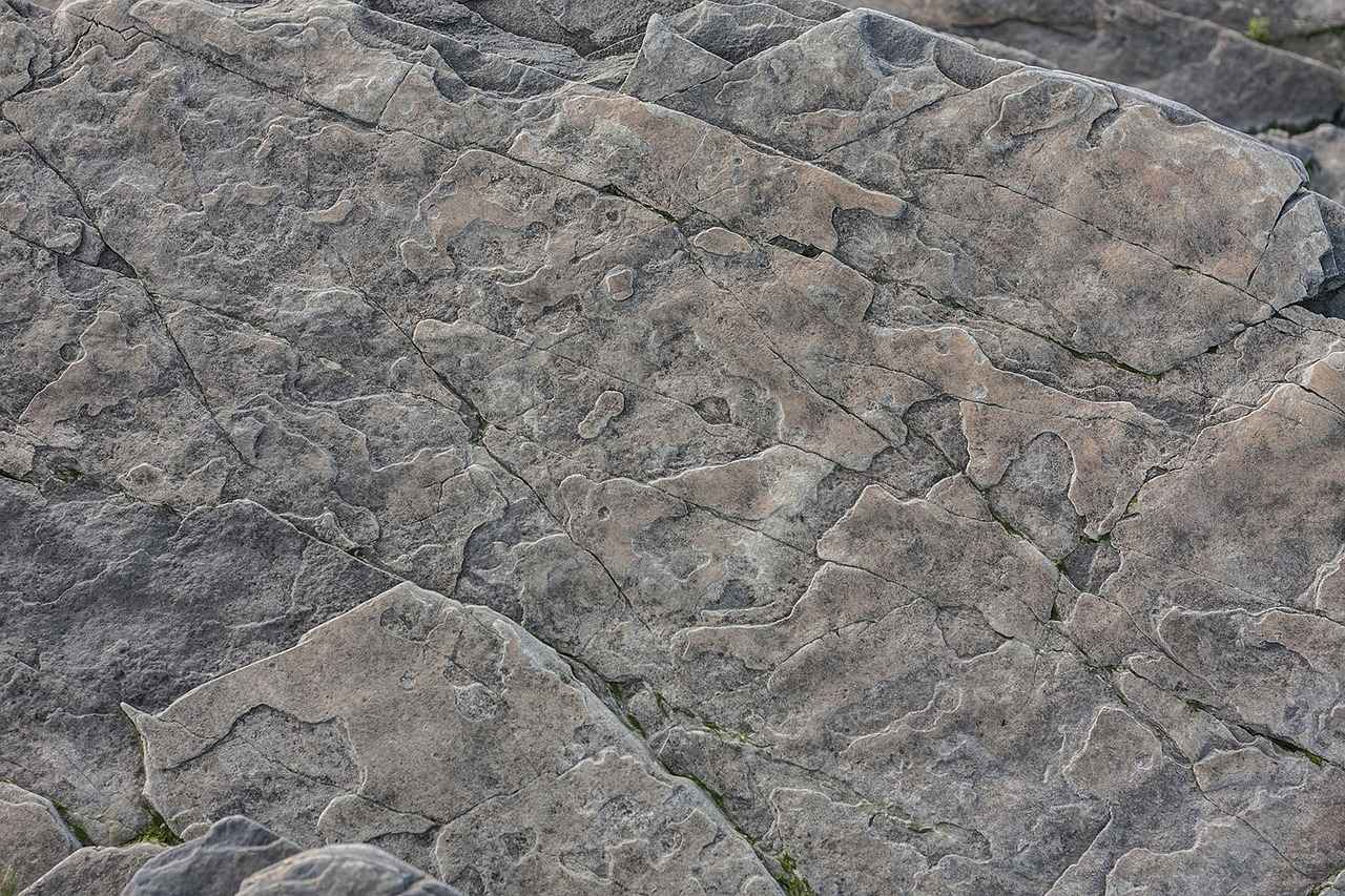 Emma Stone in La La Land: How Her Role Changed the Musical Genre 2 What Impact Did La La Land Have on Emma Stone's Career?