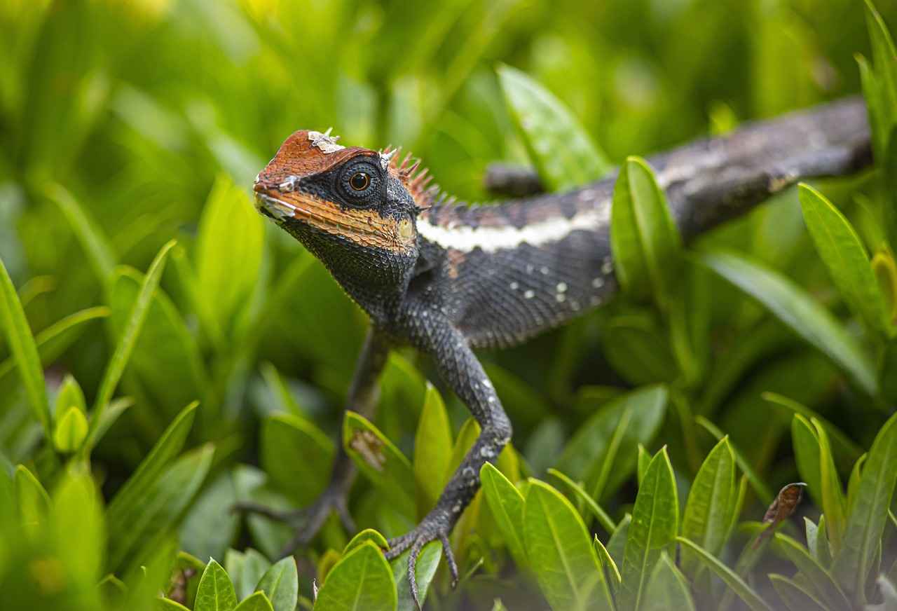 What Insights Can We Gain from Emma Stone's Instagram Activity?