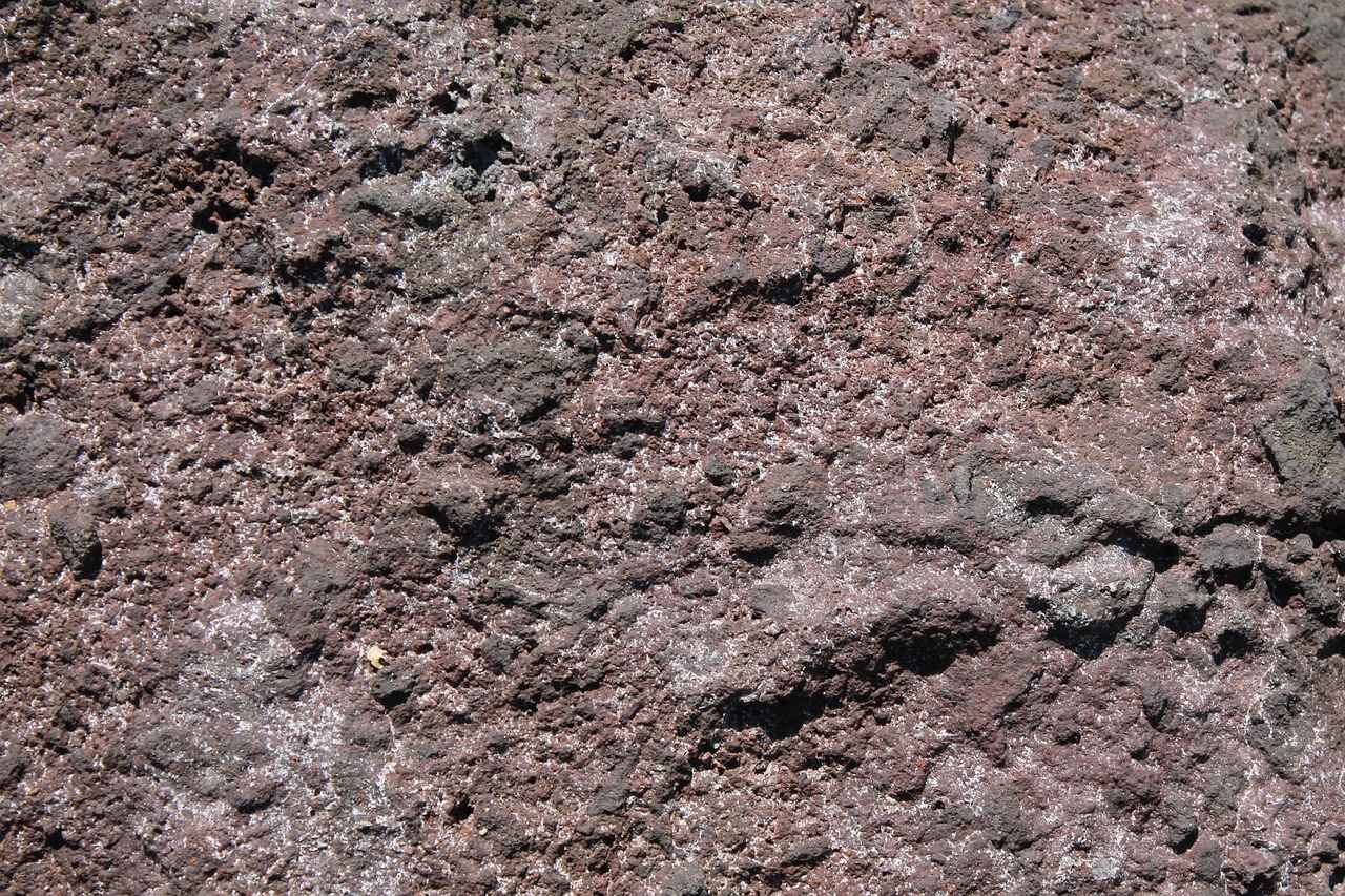 Emma Stone Oscar Wins: How She Conquered the Red Carpet 4 What Impact Did Emma Stone's Wins Have on Hollywood?