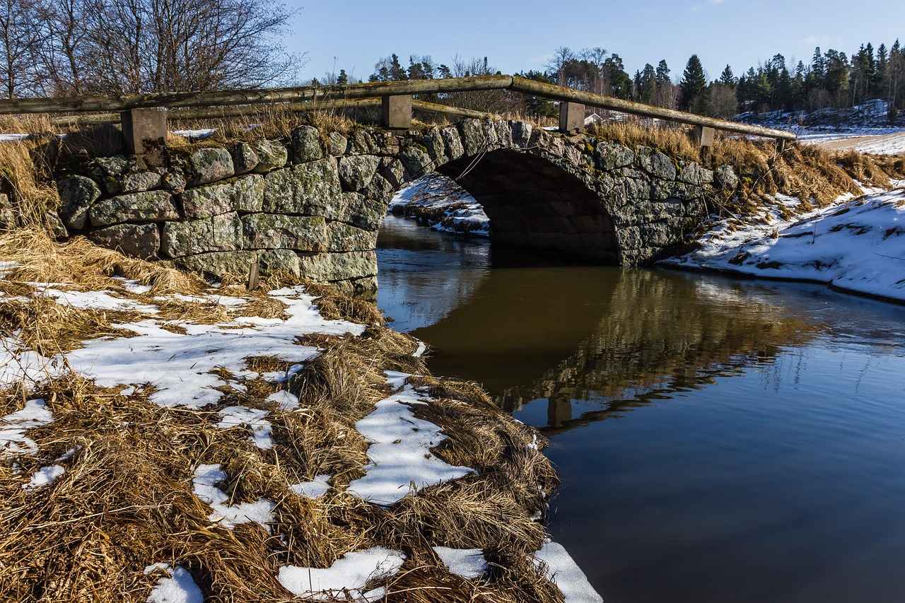 Emma Stone Oscars 2024: What We Can Expect From Her Next Appearance 2 What Are Emma Stone's Previous Oscar Experiences?