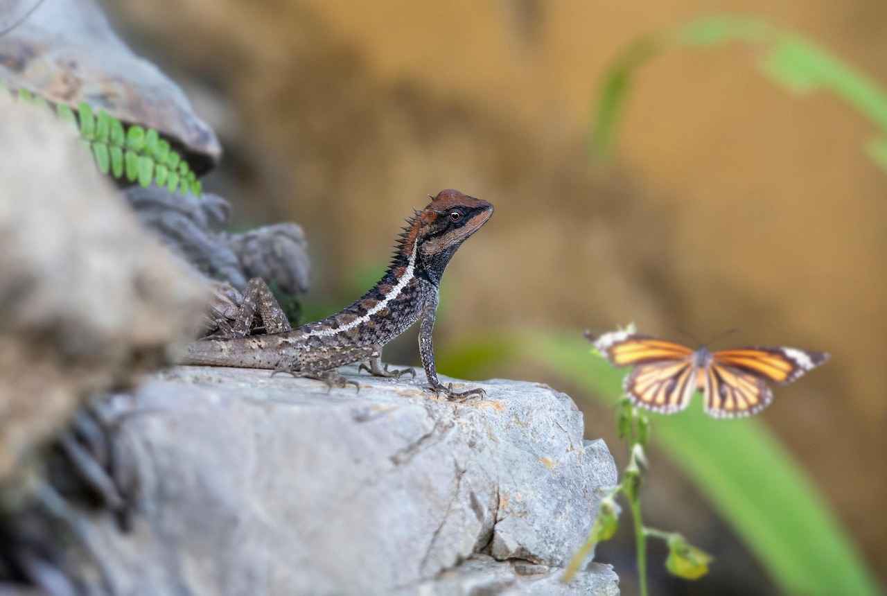 Emma Stone Photography: A Stunning Collection of Her Best Shots 4 Emma Stone's Evolution Through Photography