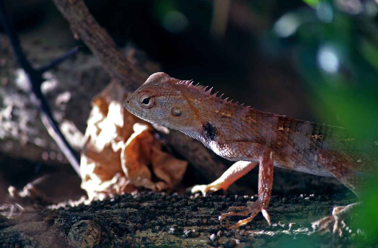 What Is the Context of the Sex Scenes?