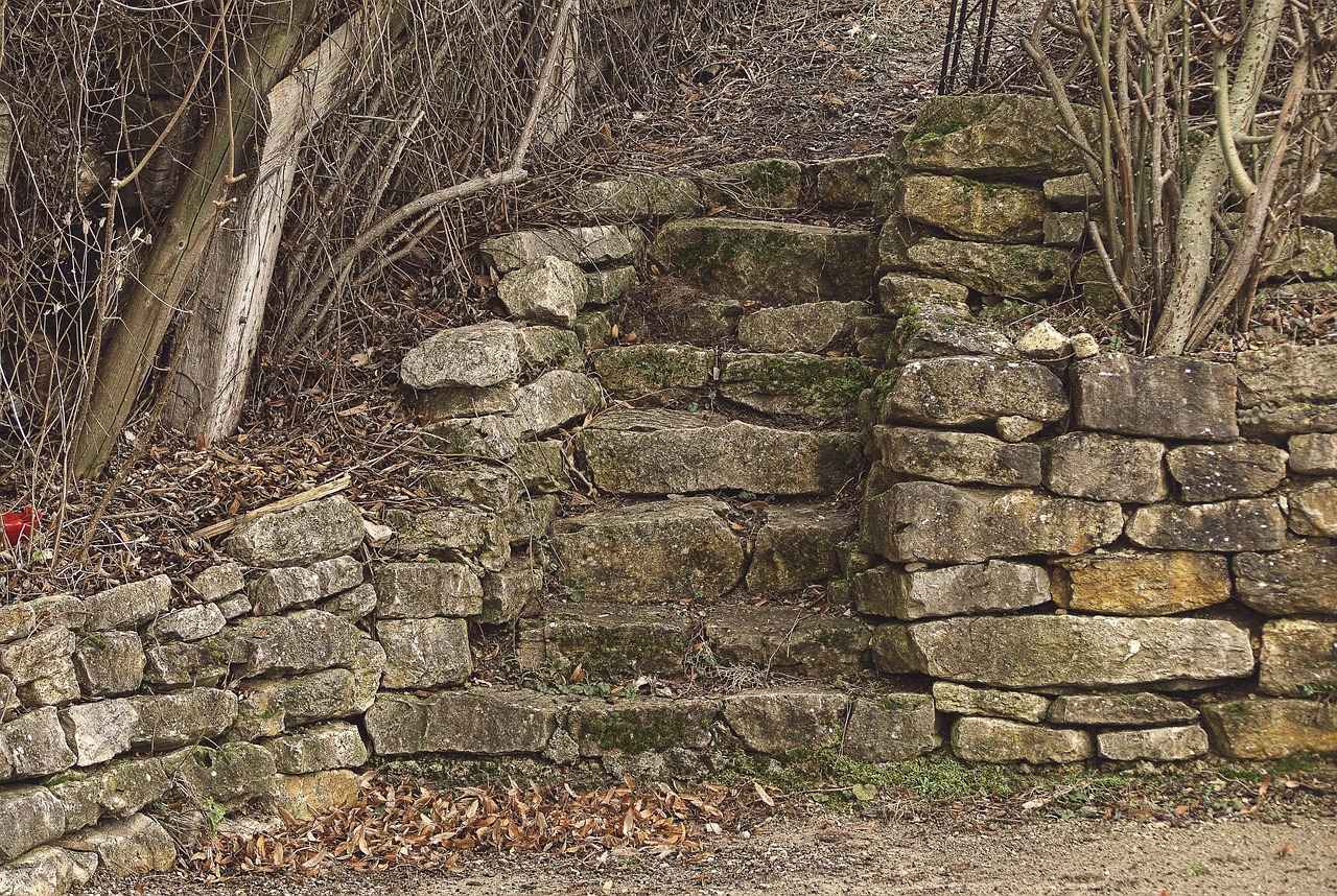 Emma Stone's Oscar Win: How She Became a Hollywood Darling 3 Frequently Asked Questions