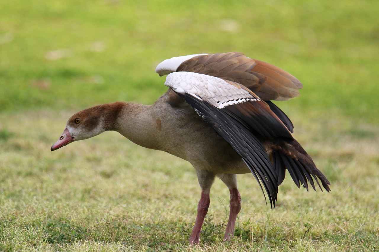 What Makes Ryan Gosling and Emma Stone's Chemistry So Special?