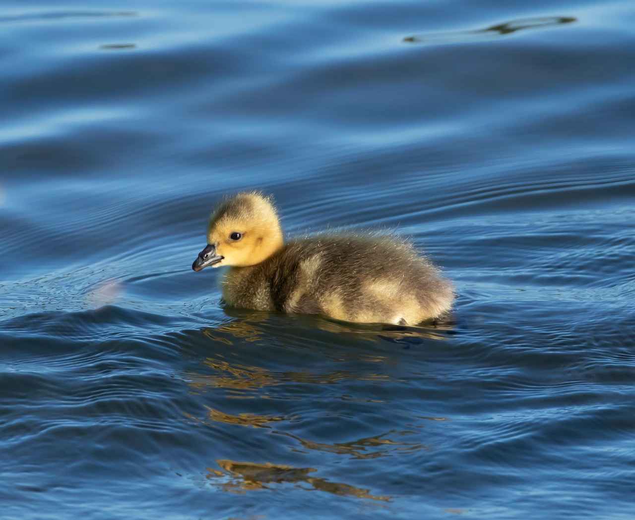 Exploring Their Most Memorable Films