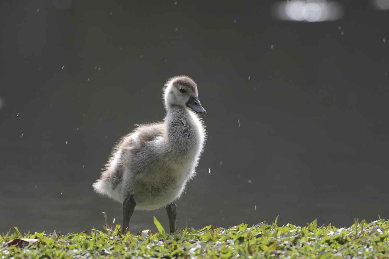 Exploring Their Iconic Films Together
