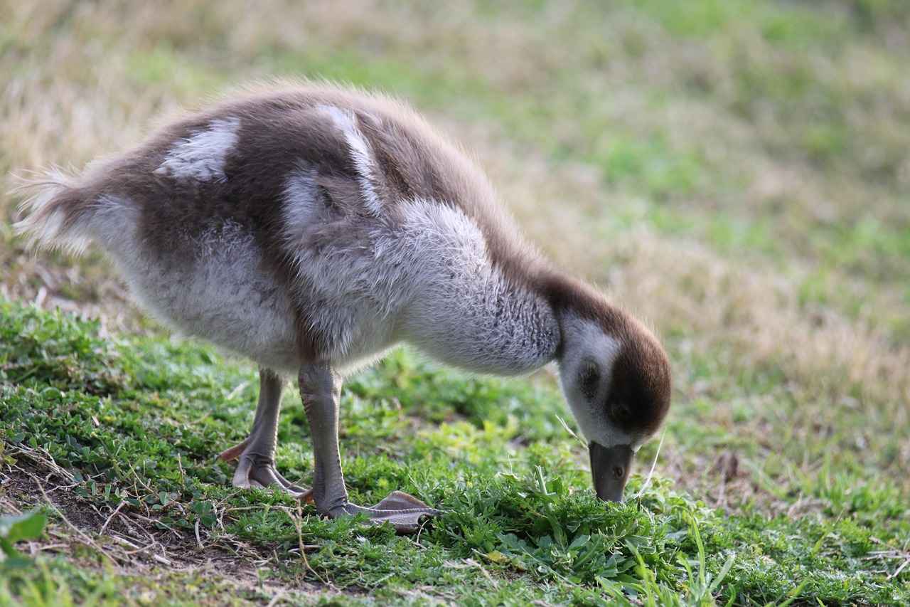 How Did Their Iconic Collaborations Shape Their Careers?