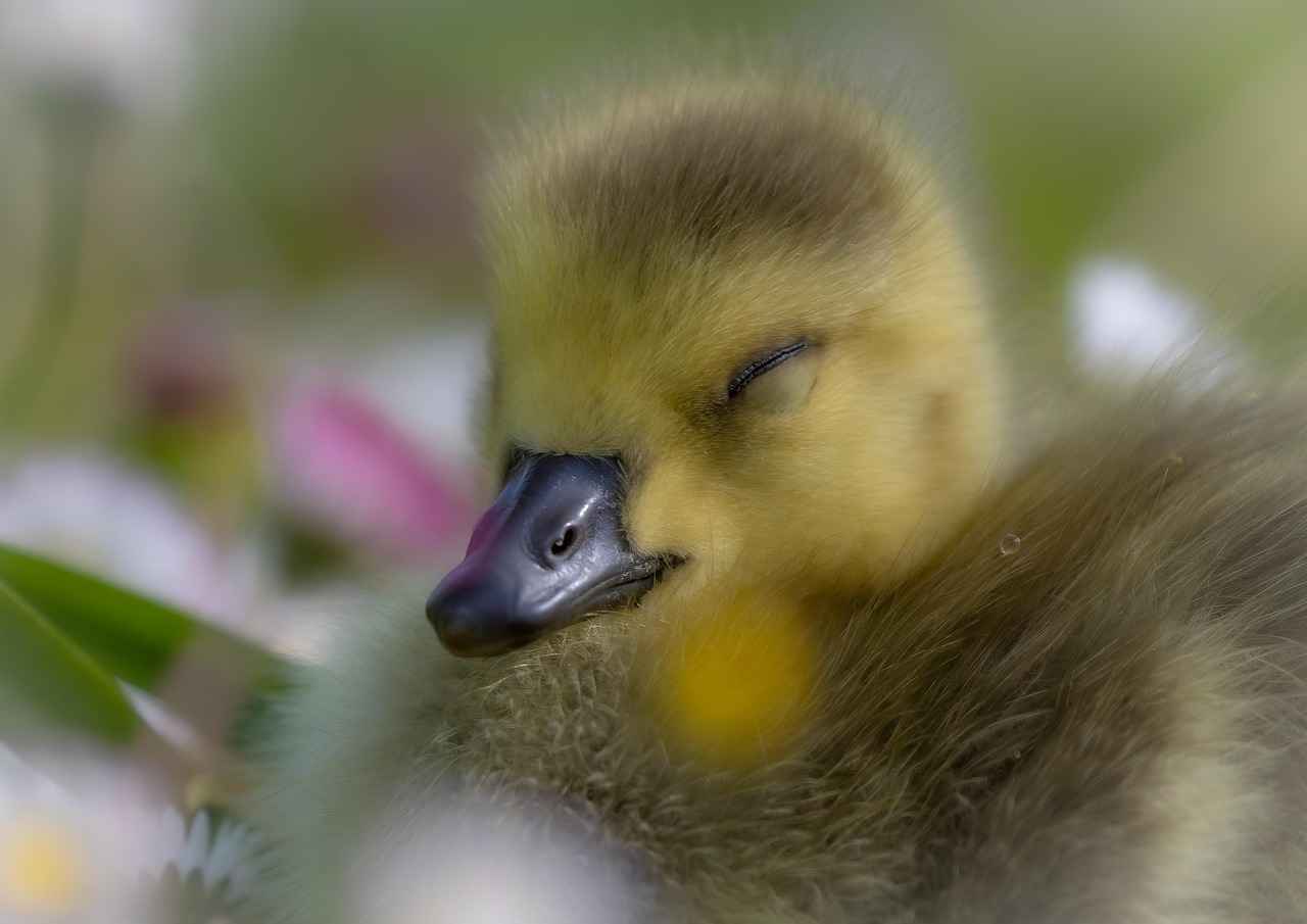 The Best Ryan Gosling and Emma Stone Movies You Need to Watch