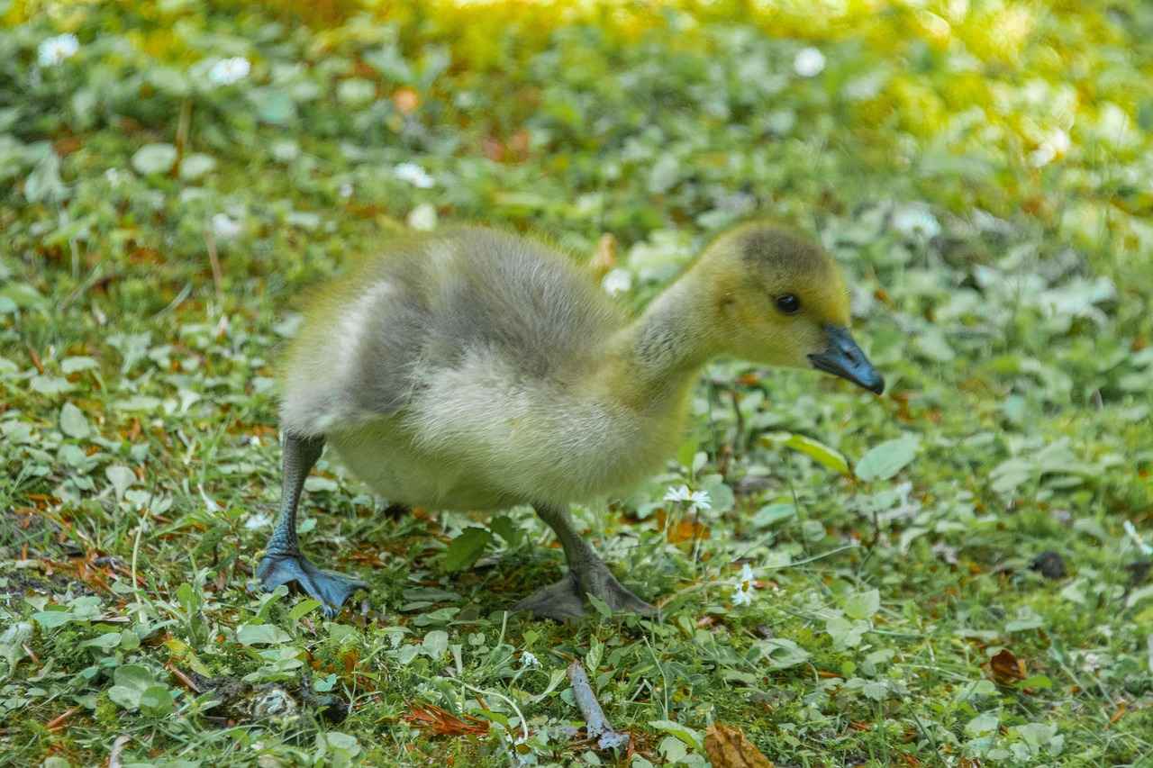 How Their Collaborations Have Evolved Over Time