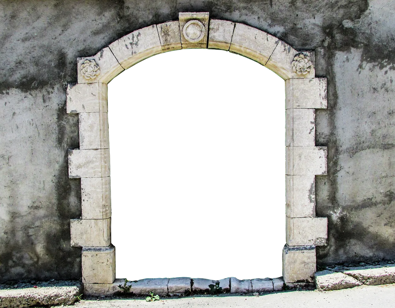 Top Emma Stone Films You Need to Watch Right Now